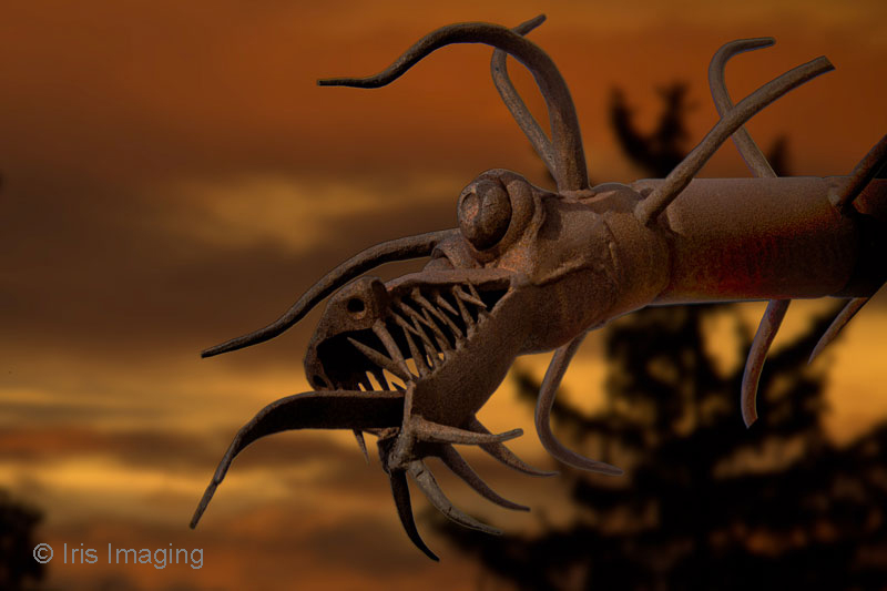 Sculpture artist unkown south of West Salem on Ohio 301