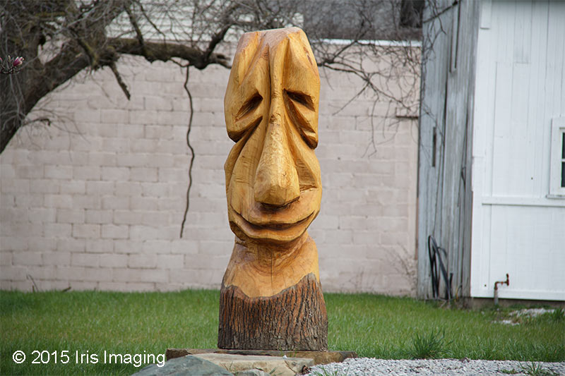 The Artwork of Jerry Fryman