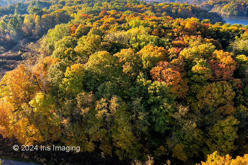 East side of Spencer Lake Wildlife Area
