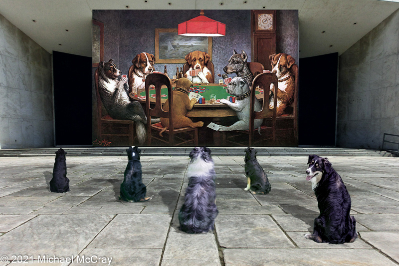 Photo-illustrations Image