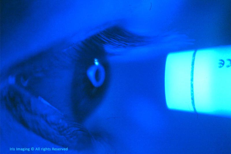 Medical & Surgical Image