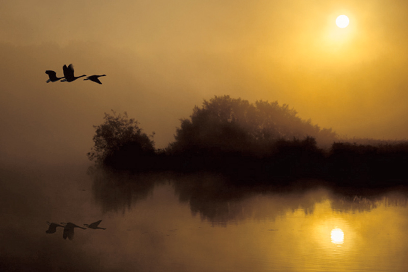 Spencer Lake at Dawn